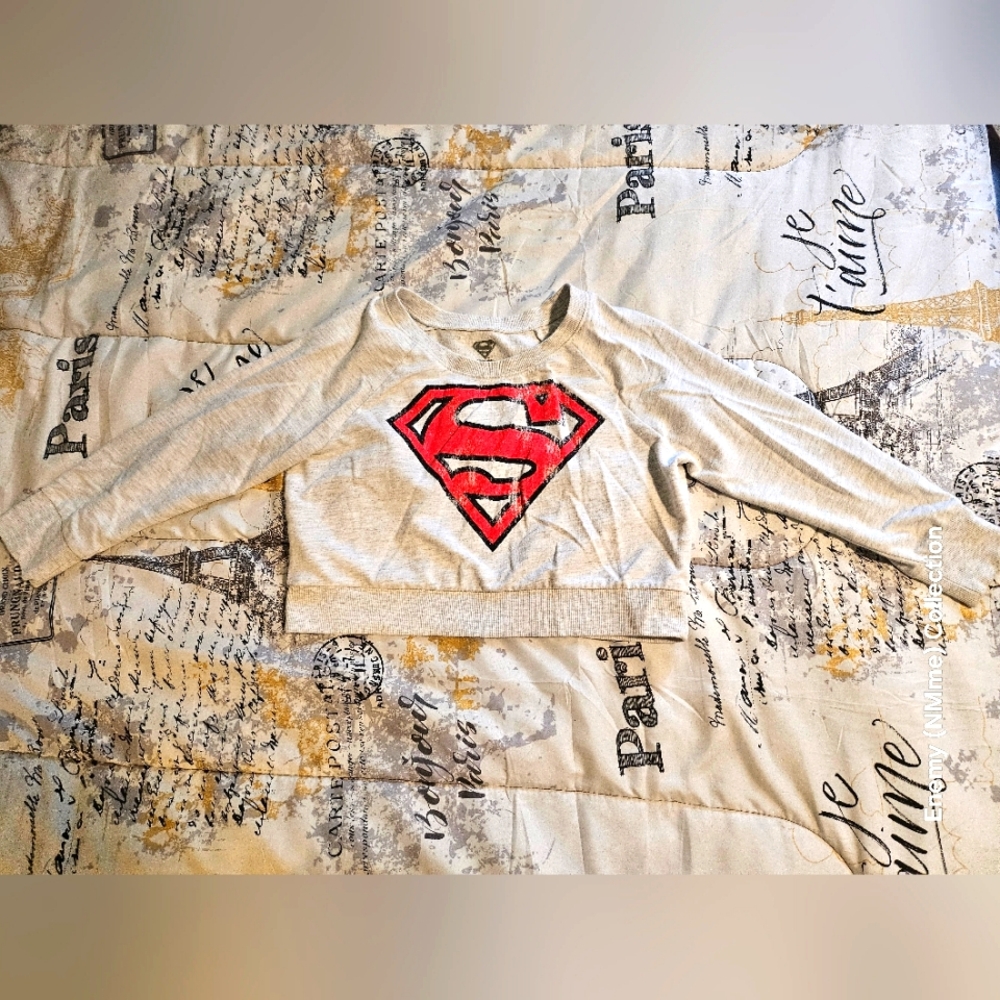 Superman Logo Cropped Sweatshirt